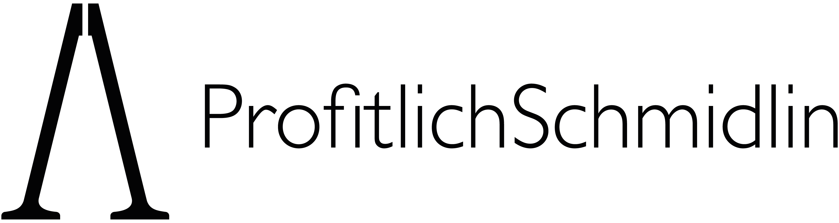 Logo der Profitlich Schmidlin AG